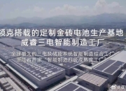 威睿金砖二代电池，凭什么这么快？