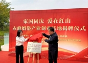 开创产业合作新时代，第九届动力电池应用国际峰会（CBIS2024）在沪开幕
