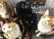 被亏损逼急的4S店：牵手“猫狗虎”、向主机要政策、开辟第二车间…狂卷售后是出路吗？