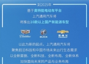 2025年美国电气化车型市场份额或达25%