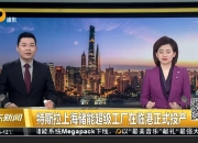 特斯拉上海储能超级工厂正式投产