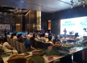 中国皮卡消费趋势沙龙热议油电时代破局之道