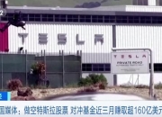 桥水基金增持特斯拉股份