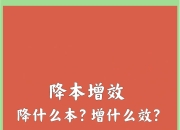 降本版Model Y来袭，供应链面临大考？
