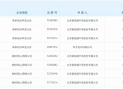 确定商标，加入华为“界”家族的北汽能否松口气？