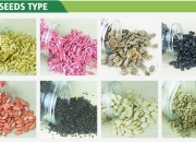 Seeds | 车规芯片企业“创晟”完成规模近亿元天使+轮融资