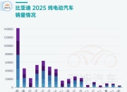 【国际快讯】比亚迪欧洲纯电动车销量首超特斯拉；美国参议院投票否决加州2035年禁燃令；莲花跑车计划在关税下调后重启对美出口