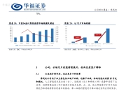 芯片设计公司安霸寻求出售后股价大涨