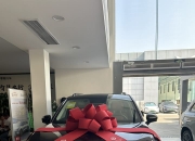 零跑汽车6月交付新车48006台