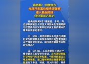 Smart CEO支持中欧就中国电动车最低定价机制展开磋商
