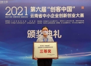 全球十家，中国唯一！德赛西威荣获“大众汽车集团奖”