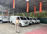 研究：中国车企在零排放汽车领域遥遥领先