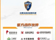 “苏超”迎来世界杯顶级赞助商 悦达起亚冠名赞助2025江苏省城市足球联赛盐城赛区