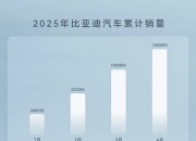 新能源乘用车出口持续强劲，比亚迪领跑多区域市场丨2025年1-5月中国乘用车出口总览