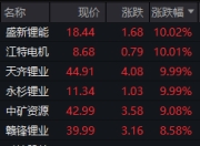 宁德时代暂停江西一座锂矿生产