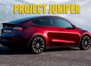 Model 3败了，下一位Model Y