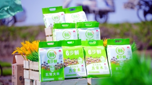 2024泰达论坛 | 刘涛:碳足迹数字化平台在绿色低碳供应链建设中的应用