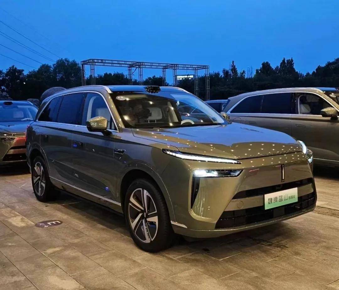 善于拉帮手,救了长城智驾?