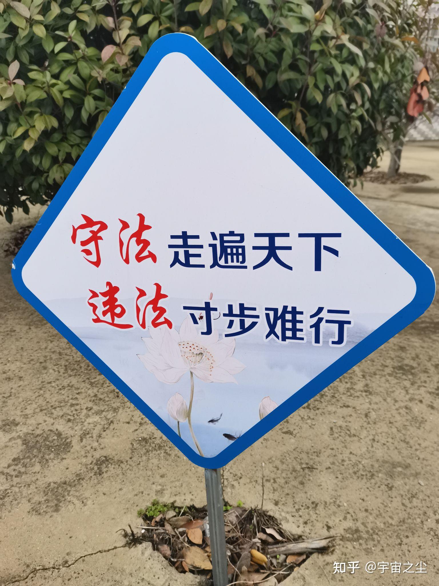 NOA加速普及，安全才是核心竞争力