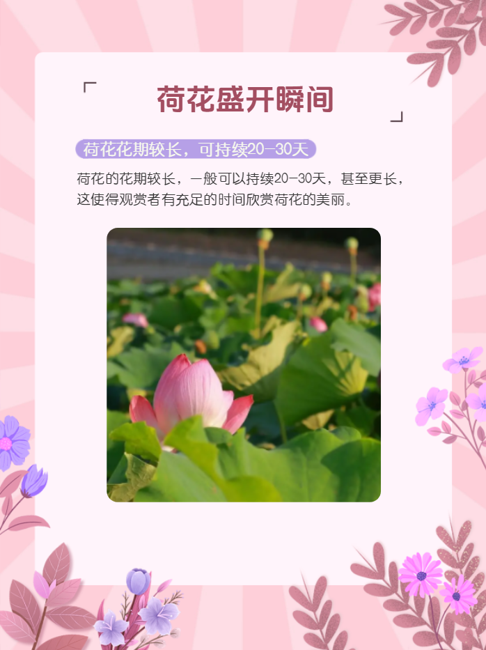 莲花旗下新款夏花和繁花上市,将搭载豆包AI助手