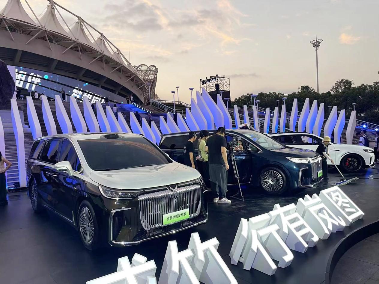 岚图CEO卢放：智驾不是谁声音大就听谁
