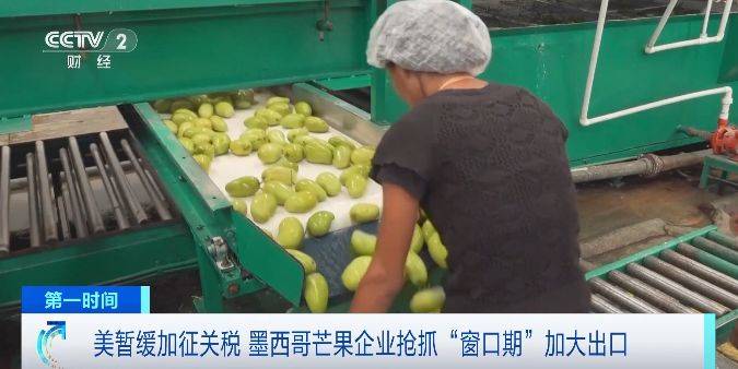 特朗普关税实施在即，日系车企从墨西哥出口至美国的汽车增加17%