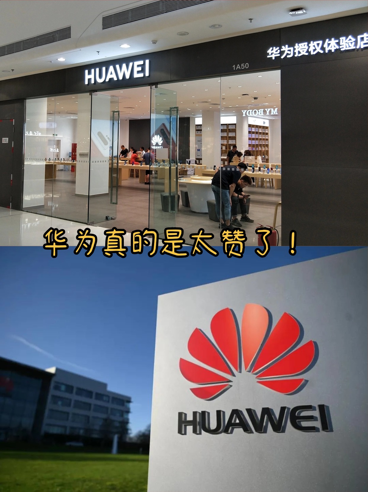 华为不是“狼”